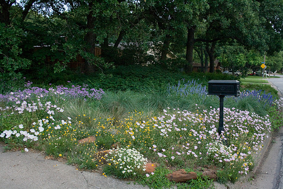 Marian's spring 09a