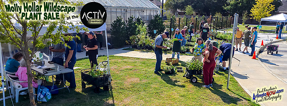 ++260927_110444_2 W'scapePlantSale @ACTIVgreenhouse COVER (c)