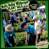 ++260927_103309 W'scapePlantSale @ACTIVgreenhouse LABEL (c)