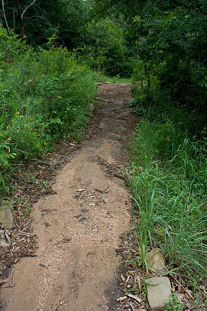 IMG_1351