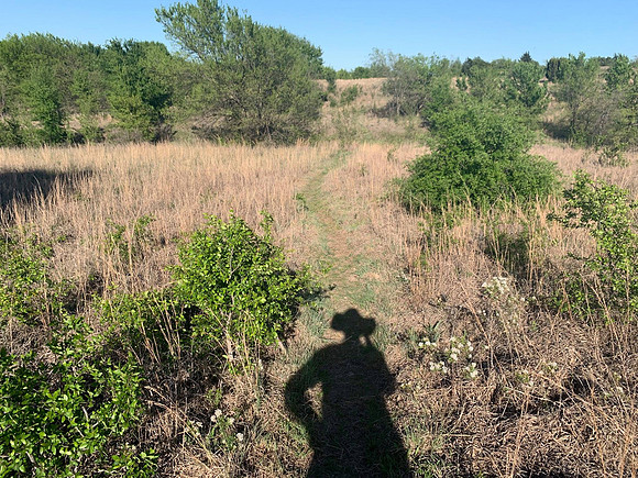Scenic - On the Prairie Trail