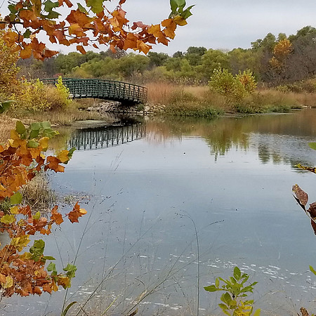 Scenic- Bridge in FWNC