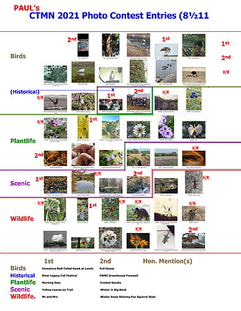 +++210517  CTMN 2021 PhotoContestEntries (8½11 TALLY SHEET - Paul's