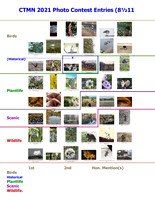 +210517  CTMN 2021 PhotoContestEntries (8½11 TALLY SHEET