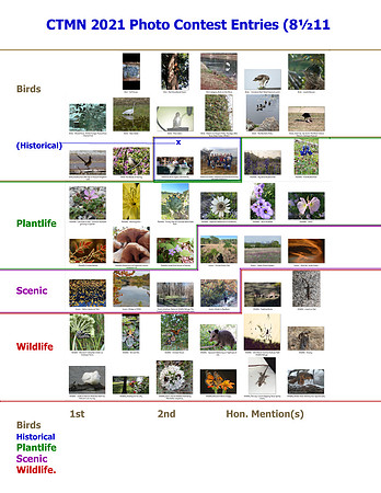 +210517  CTMN 2021 PhotoContestEntries (8½11 TALLY SHEET
