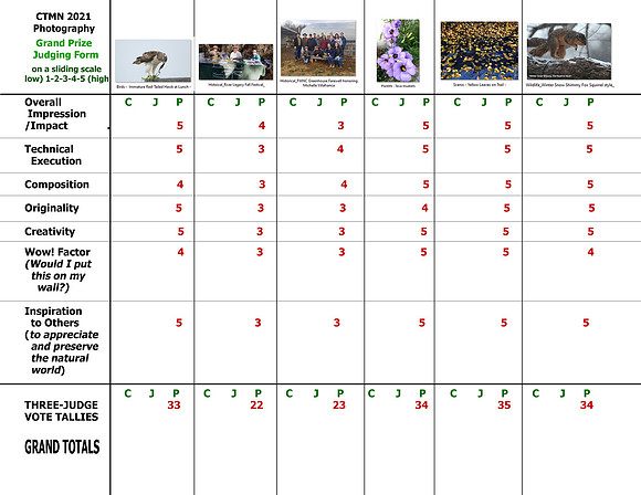 + CTMN 2021 GrandPrizeJudgingForm (TALLIES