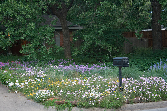 Marian's spring 09