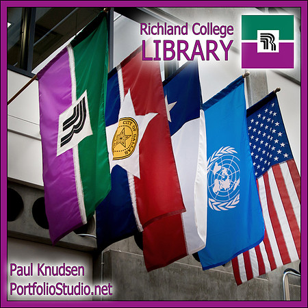 0171 RLC LibraryFlags LABEL