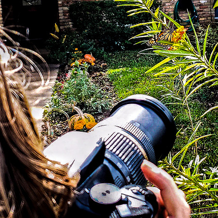 211027_1335 Gist pix - Viv & b'fly+