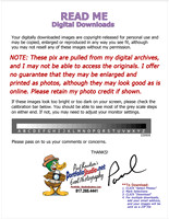 ++ README (PulledPixFromArchive) calibrated,copyright_release (PaulDuck,PfolioBlueRED)+