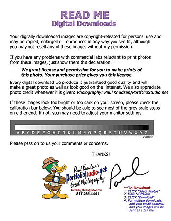 ++ READMEcalibrated,copyright_release (PaulDuck,PfolioBlueRED)+