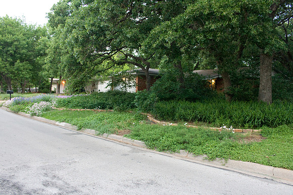 Marian's spring 09b