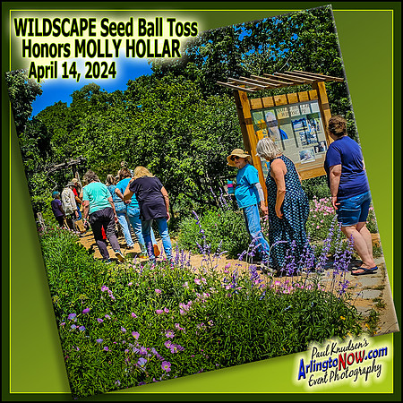 +++240414 MollyHollarW'scape SeedBallToss LABEL