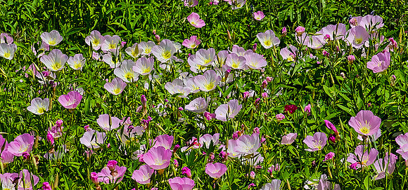 20240414_140521-Edit