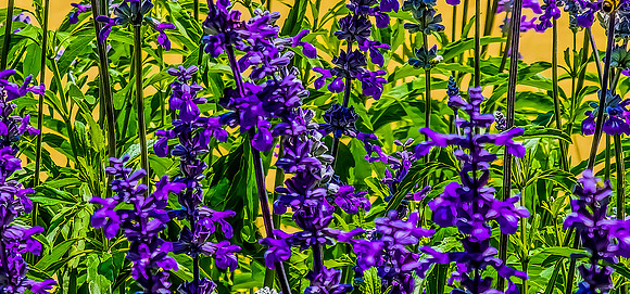 20240414_143439-Edit